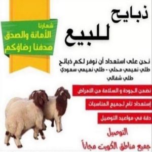 قصاب - قصاب متنقل - جزار📞65101414 - ذبايح - ذبائح الكويت - غنم للبيع - اغنام للبيع - ذبايح للبيع - غنم - سوق غنم - اغنام عربى للبيع - جزار - ذبائح 3 1676441160368 قصاب - قصاب متنقل - جزار📞65101414 - ذبايح - ذبائح الكويت - غنم للبيع - اغنام للبيع - ذبايح للبيع - غنم - سوق غنم - اغنام عربى للبيع - جزار - ذبائح