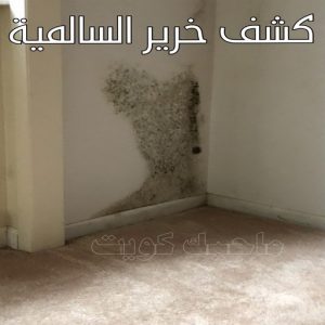 كشف خرير - جهاز كشف الخرير - مصطفي📞97319277 - شركة كشف خرير - كشف الخرير - كشف تسربات المياه - خرير الماء - كشف خرير المياه - عازل اسطح - عازل 25 كشف خرير السالمية