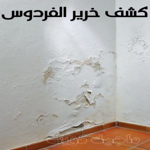 كشف خرير - جهاز كشف الخرير - مصطفي📞97319277 - شركة كشف خرير - كشف الخرير - كشف تسربات المياه - خرير الماء - كشف خرير المياه - عازل اسطح - عازل 17 كشف خرير الفردوس