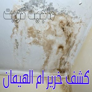 كشف خرير - جهاز كشف الخرير - مصطفي📞97319277 - شركة كشف خرير - كشف الخرير - كشف تسربات المياه - خرير الماء - كشف خرير المياه - عازل اسطح - عازل 24 كشف خرير ام الهيمان