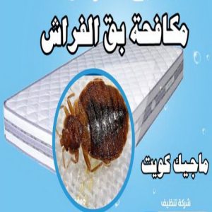 مكافحة حشرات - مكافحة حشرات وقوارض - دهب للتنظيف 94007344 - شركة حشرات - شركة مكافحة حشرات - مكافحة بق - مكافحة قوارض - مكافحة حشرات الكويت 14 مكافحة بق مكافحة حشرات - مكافحة حشرات وقوارض - دهب للتنظيف 94007344 - شركة حشرات - شركة مكافحة حشرات - مكافحة بق - مكافحة قوارض - مكافحة حشرات الكويت