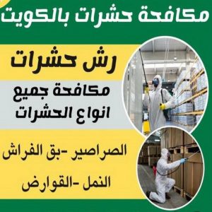 مكافحة حشرات - دهب للتنظيف 94007344 - شركة مكافحة حشرات - مكافحة حشرات وقوارض - مكافحة بق - رش صراصير - مكافحة نمل - شركة حشرات - مكافحة فئران 2 مكافحة حشرات الكويت مكافحة حشرات - دهب للتنظيف 94007344 - شركة مكافحة حشرات - مكافحة حشرات وقوارض - مكافحة بق - رش صراصير - مكافحة نمل - شركة حشرات - مكافحة فئران