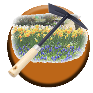 تنسيق حدائق - الاتصال 51612378