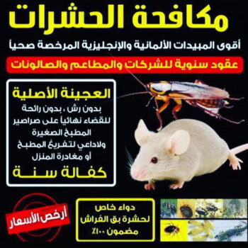 مكافحة قوارض - مكافحة حشرات وقوارض - دهب للتنظيف 94007344 - شركة حشرات - مكافحة حشرات - شركة مكافحة حشرات - مكافحة بق - مكافحة حشرات الكويت