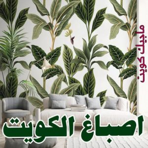 اصباغ - اصباغ الكويت - صباغ 94493007 - صباغ - صباغ في الكويت - رقم صباغ - صباغ جدران - صباغ خارجي - صباغ داخلي - معلم صباغ - اصباغ جوتن 4 اصباغ الكويت